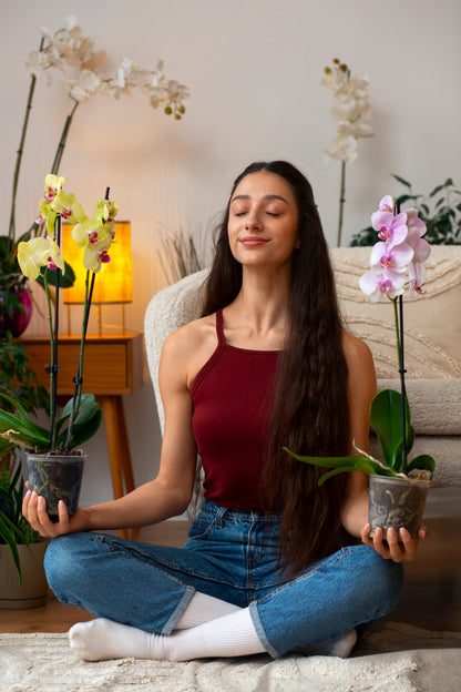 Flower Subscription for Home