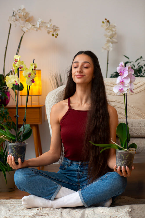 Flower Subscription for Home