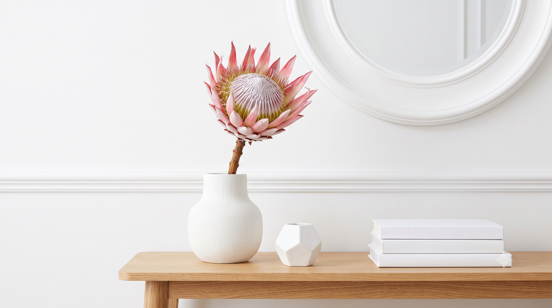 King Protea (Protea cynaroides)