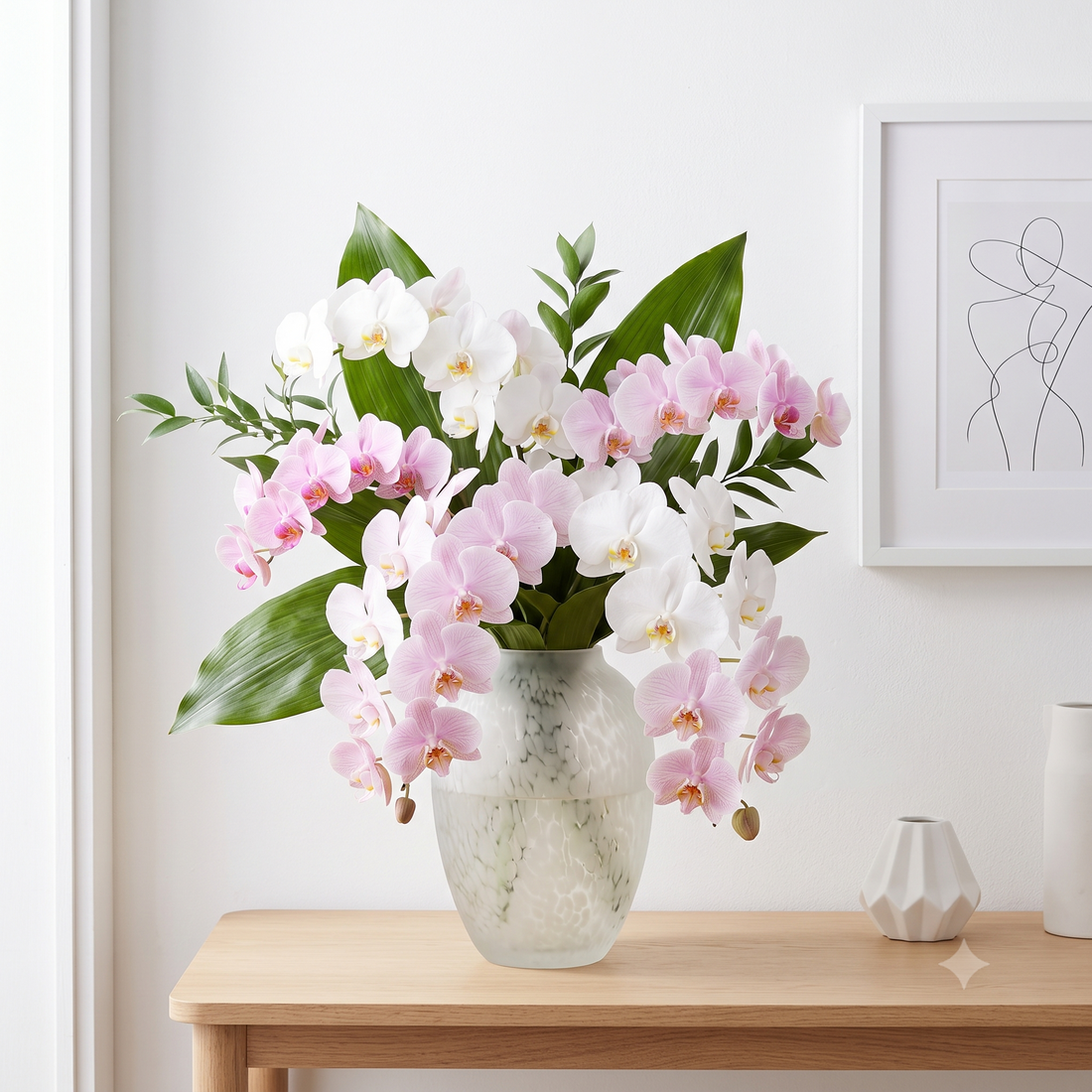 Phalaenopsis Orchid (Moth Orchid)