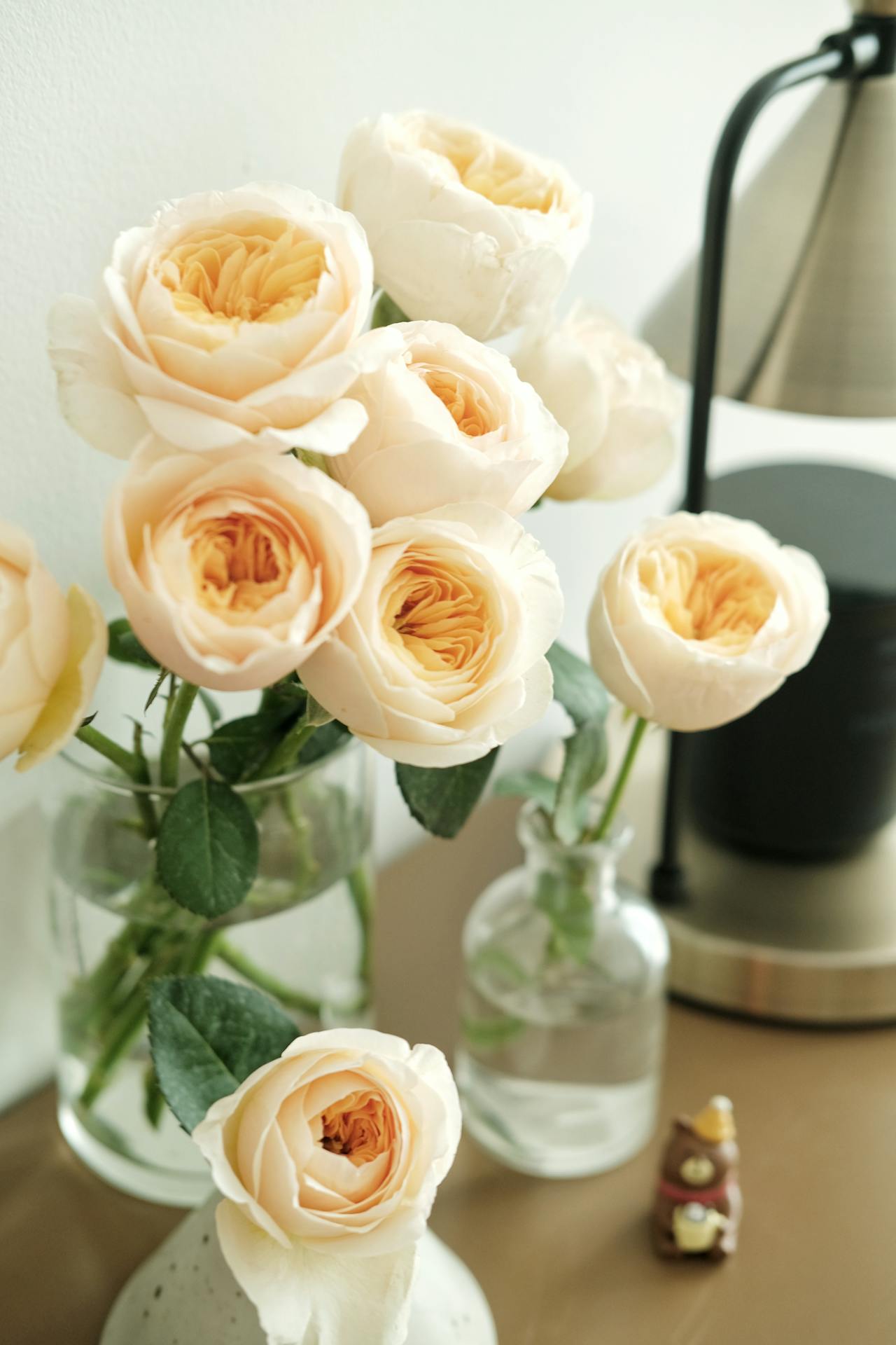<em>Enduring</em> Elegance